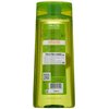 Garnier Fructis Sleek and Shine Shampoo, Frizzy, Dry, Unmanageable Hair, 22 fl; oz.