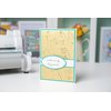 Sizzix 3-D Textured Impressions Embossing Folder Dandelion Wish by Kath Breen, 665001, Multicolor