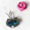Acenail Boho Peacock Feather Hair Clips Crystal Hair Pins Fashion Feather Hair Barrettes Hair Accessory for Women and Girls