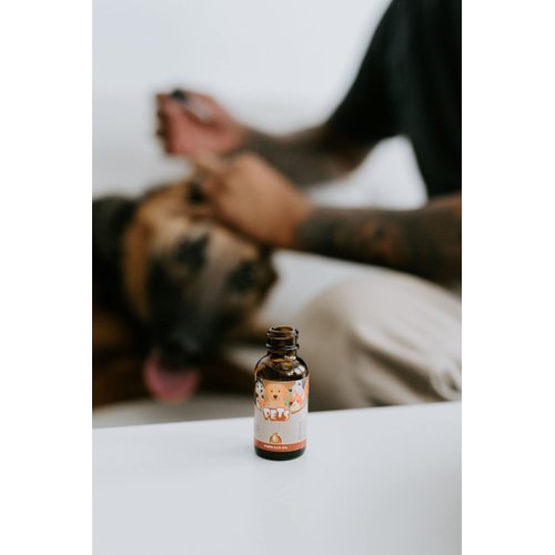 Punkin Butt Ear Oil for Cats & Dogs (1 oz bottle) bottle | Organic Garlic, Mullein and Calendula Ear Drops