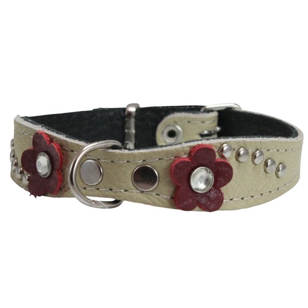 Beige Genuine leather Designer Dog Collar 11" x3/4" with Studs, Daisy, and Rhinestone