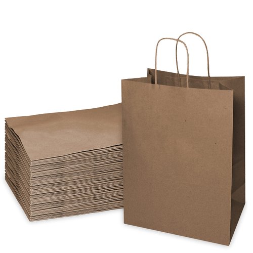 EcoQuality - 10x5x13 inches - 100pcs - Medium Brown Kraft Paper Bags with Handles, Shopping, Gift Bags, Party, Merchandise, Lunch Bags, Grocery Bags