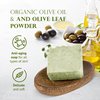 Relaxcation Olive Soap Bar with Organic Olive Oil and Olive Leaves - Anti-aging and Antioxidant Natural Cold Process Soap Handmade in USA' for ASIN (Olive Soap Bar)