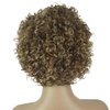 Brazilian Wigs 10 inch Short Kinky Curly Human Hair Wigs For Black Women Short Wigs No Lace Front (Gradient Brown4/27/30)