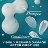OGX Renewing + Argan Oil of Morocco Shampoo & Conditioner Set, 13 Fl Oz (Pack of 2) (packaging may vary), Blue