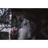 DUCK COMMANDER Mallard Drake Duck Call, Realistic Sounding Duck Call, Duck Dynasty Easy to use Duck Call