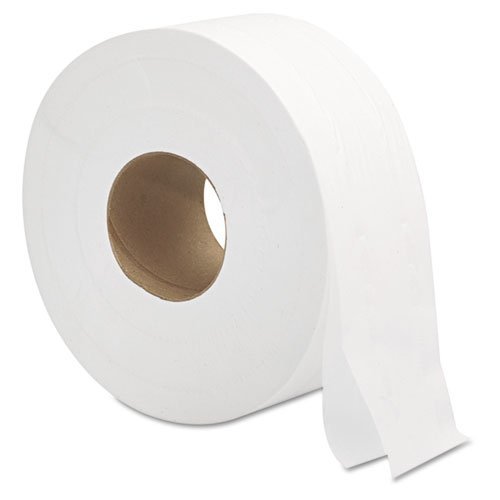 Jumbo Economy Commercial 2-Ply Toilet Paper Rolls (Case of 12 Rolls)
