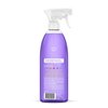1 X All Purpose Natural Surface Cleaner - 28 fl oz Liquid