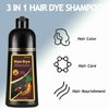 Silver Grey Hair Dye, Hair Dye Shampoo, Hair Color Shampoo for Men and Women, 3 in 1 Hair Dye Shampoo 16.9 Floz, Safe and Natural Shampoo Para Canas (Silver Grey)