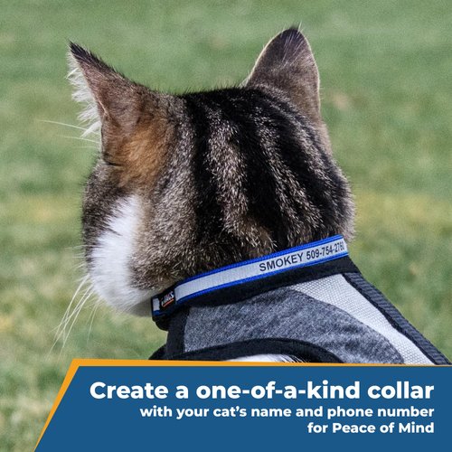 GoTags Personalized Reflective Cat Collars, Engraved Custom Cat Collar with Name and Phone Identification, Breakaway Collar with Safety Release Buckle and Bell, Adjustable for Cats and Kitten, (Blue)