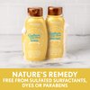 Aveeno Sunflower Oil Blend Conditioner, for Dry Damaged Hair, Dye, Paraben & Sulfate Surfactants Free, 12oz