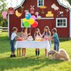 Farm Animals Party Decorations Farm Birthday Hanging Swirls, Assembled and Ready to Use, Countryside Party Decor Supplies Hanging Swirl Kids Party Streamers 24pcs Baby Shower Party Decor Banner
