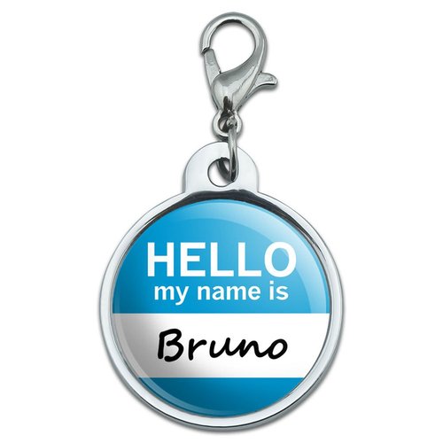 Chrome Plated Metal Small Pet ID Dog Cat Tag Hello My Name is BR-CA - Bruno