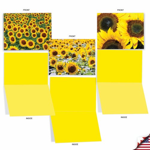 The Best Card Company - 10 Blank Note Cards with Flowers (4 x 5.12 Inch) - Floral Notecards, All Occasion Boxed Assortment - Sunny Side Up M6042