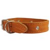 Genuine Leather Studded Dog Collar, 1.25" Wide. Fits 15"-18.5" Neck. Amstaff