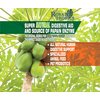 Royal Tropics Green Papaya Powder. Enzymes for Digestive Support.