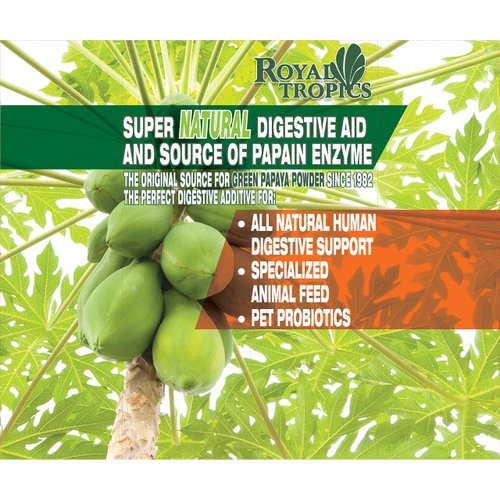 Royal Tropics Green Papaya Powder. Enzymes for Digestive Support.