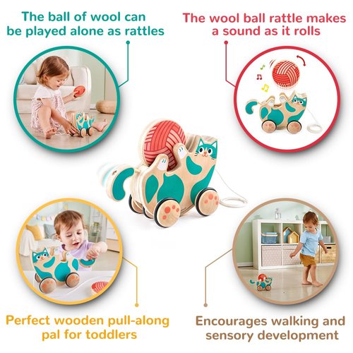 Hape Wooden Walk-A-Long Kitten Pull Toy| Roll & Rattle Push Pull Toy for Toddler| Montessori Toys for Walking Toddlers, Green