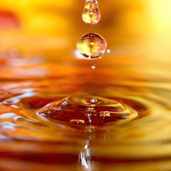 Honey Tone - Modified Honey 1/2oz Sample