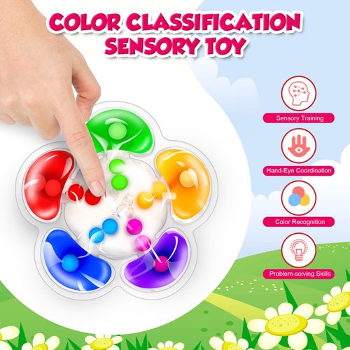 mcgskl Color Sorting Sensory Toys, Color Matching Toys, Fine Motor Skills Game for Toddlers, Montessori Toys for Kids Boys Girls Ages 3-5