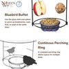 Nature's Way BBFM1 Bluebird Buffet Metal Bird Feeder with Protective Baffle, Outdoor Wild Bird Feeder and Décor, One Glass Dish with 3/4 Cup capacity, Blue