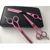 5.5" Professional Barber Razor Edge Powder Coated Hair Cutting and Texturizing Shears Scissors Pink with Straight Raxor Student Teacher Kit Set+case Black