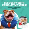 UPPYS Medium Dog Donut Collar - Inflatable Dog Cone Alternative For After Surgery Recovery. Donut Dog Cones For Medium Dogs. Inflatable Dog Collars For After Surgery Donut Cone For Dogs. Soft Cone Dog