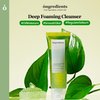 ONGREDIENTS Heartleaf Houttuynia Cordata Deep Foam Cleanser, Moisturizing Salicylic Acid Face Wash, 4.05 Fl Oz