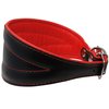 Real Leather Extra Wide Padded Tapered Dog Collar Glossy Black Greyhound Saluki Deerhound Lurcher Whippet Dachshund (13.25"-15.25" Neck; 2.5" Wide, Red)