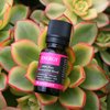 Plantlife Energy Aromatherapy Essential Oil Blend - Straight from The Plant 100% Pure Therapeutic Grade - No Additives or Fillers - Made in California 10 ml