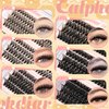 Calphidar Eyelash Clusters 30D+40D+50D+60D+80D+100D Lash Clusters Wispy Individual Lashes 476PCS D Curl Lash Extension 8-16MM Natural Lashes Clusters DIY Cluster Eyelash Extensions for Beginners