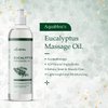 Aquableu Eucalyptus Massage Oil 100% Pure & All-Natural - Natural at-Home Massage Therapy, Soothes Skin & Muscles - Full Body Relaxing Massage Oil for Men and Women 12 fl oz