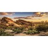 AWERT Reptile Habitat Background Blue Sky Oasis Cactus Sun and Desert Terrarium Background 72x24 inches Durable Polyester Background