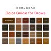 Perma Blend - Cool Eyebrow Tattoo Kit - Microblading Ink for Permanent Makeup - Includes Blackish Brown, Dark Fudge & Mallard Tattoo Ink, Vegan (0.5 oz Each)