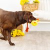 Fringe Studio Plush Dog Toy, Sweet Little Chick, Pet Shop Collection (314137)