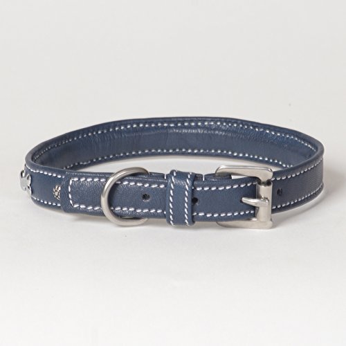 Small Soft Blue Napa Leather Padded Decorated Azzurro Dog Collar - Fits 12" - 14" Neck Size