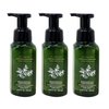 Generic Bath and Body Work Aromatherapy EUCALYPTUS + SPEARMINT Gentle Foaming Hand Soap Bundle - Lot of 3-8.75 fl oz / 259 mL each, green
