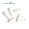 Allergy Research Group L-Lysine - Immune Support, L-Lysine HCI, Free Form Amino Acid, 500mg Supplement, Pure, Organic, Vegetarian Capsules - 100 Count