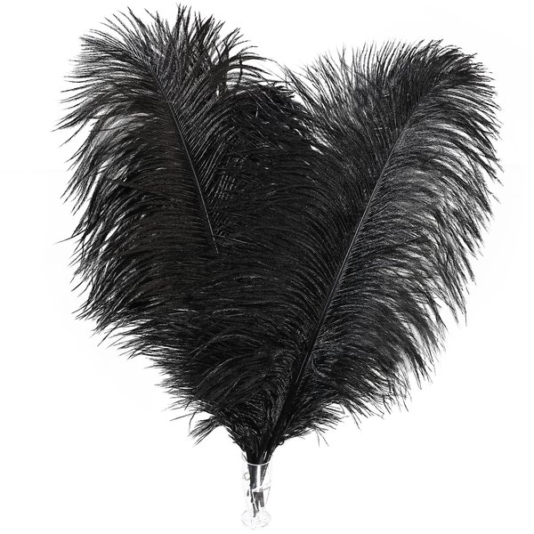 Soarer Black Ostrich Feathers Bulk - 30pcs 8-10 inches for Wedding Party Centerpieces, Home Decorations and DIY Crafts(Black)