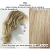 Bundle - 5 items: Winner by Raquel Welch Wig, Christy's Wigs Q & A Booklet, Wig Shampoo, Wig Cap & Wide Tooth Comb (Color Selected: R25)