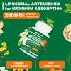 NICMIN Liposomal Artemisinin Supplement 1000mg, Sweet Wormwood Extract with 200mg Quercetin Phytosome, Maximum Absorption for Antioxidant 120 Capsules