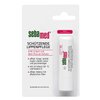 Sebamed Protective Lip Care pen, Nourishes Chapped, Brittle Lips Again Softer and Smoother, With Vitamin E and UV Protection SPF15 4.8g / 0.16 Oz.(Pack of 1)