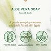 AUTHENTIC BATH & SOAP Cold Processed -Aloe Vera Soap Bar- Soothing, Hydrating for Men & Women, Natural, Cruelty Free, Vegan, Handmade, Face & Body Wash for All Skin Types. (Pack of 2) 4.2 Oz Each