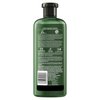 Herbal Essences bio:renew Cucumber & Green Tea Sheer Moisture Shampoo, 13.5 fl oz (Packaging May Vary)