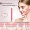 HEYFYV Face Massager Kit 3D Face Roller Massager T Shape Facial Massager Set Electric Skin Massager Tool