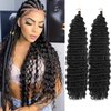 Ocean Wave Crochet Hair 24 Inch 2 Packs Deep Wave Curly Braiding Hair Extensions Synthetic Curly Crochet Hair For Black Women (1B)