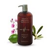 Hair & Scalp Wash Shampoo Made in Italy, All Natural Cruelty Free Hair Care for Women & Men with Organic Sage, Lime, Wildflowers & Olive Leaf Extract, 958ml/32floz, EVERYDAY