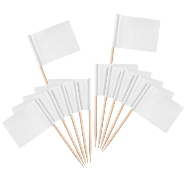 Mr. Pen- Blank Toothpick Flags, White, 100 Pcs, Cheese Markers, Cheese Labels for Charcuterie Board, Charcuterie Labels, Cheese Board Labels, Charcuterie Board Labels, Buffet Labels, Flag Toothpicks