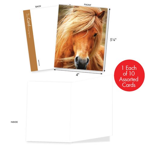 The Best Card Company - 10 Mixed Set Horse Note Cards Blank (4 x 5.12 Inch) - Wildlife, Animal Assorted Boxed Bulk Pack - Horses | Magnificent Manes M4601OCB-B1x10