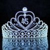 45th 45 Forty Five Years Old Birthday Party Austrian Rhineston Crystal Hair Tiara Crown with Side Combs Birthday Party Hair Jewelry Cake Topper Queen Tiara T45